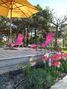 Giardino di Le Mapillon