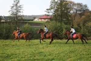 un grupo de personas montando caballos en un campo en Świerkowe Rancho, en Brzostek