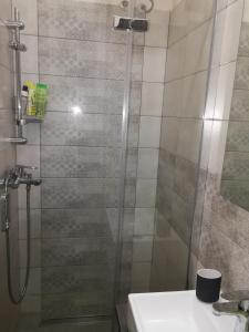 a bathroom with a shower with a sink and a toilet at Apartment Karin in Rijeka +36 photos