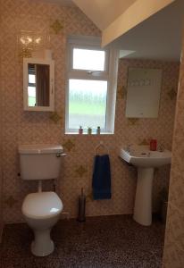 a bathroom with a toilet and a sink at Tornabodagh House in Ballycastle +17 photos