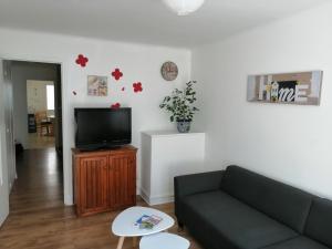 a living room with a couch and a tv at Spacieux T3 lumineux dans quartier historique avec wifi in Redon