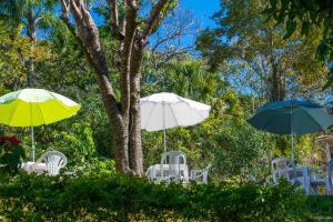 a group of chairs and umbrellas in a yard at Pousada Vila Rica in Cunha