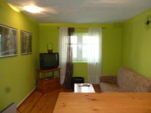 sala de estar con sofá y TV en Hostal Betelu, en Betelu