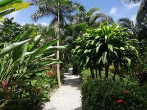 Κήπος έξω από το Mundo Goub'art