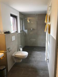 a bathroom with a toilet and a shower at Gasthof Rössle Ochsenwang in Bissingen an der Teck