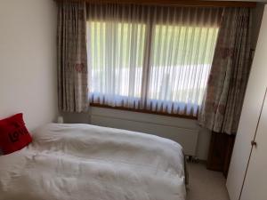 ein Schlafzimmer mit einem Bett und einem großen Fenster in der Unterkunft Abitaziun Silvia Sur Baselgia in Cunter