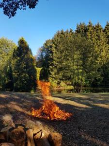 ein Feuer in der Mitte eines Feldes in der Unterkunft Im Baumhaus in Roth