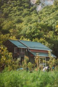 una casa con techo verde en una colina en Эко -усадьба "Душевное место" en Pychki