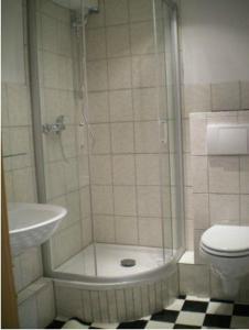 ein Bad mit einer Dusche, einem WC und einem Waschbecken in der Unterkunft Green Mile Motel in Nideggen