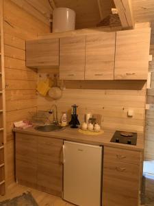 uma cozinha com um lavatório e uma bancada em Little Paradise em Virpazar