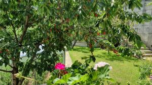 Billede fra billedgalleriet på Къща за Гости Солакови ** i Devin + 57 billeder