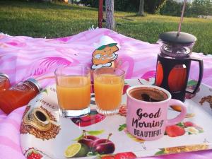 Jídlo v apartmánu nebo okolí + 6 fotografií