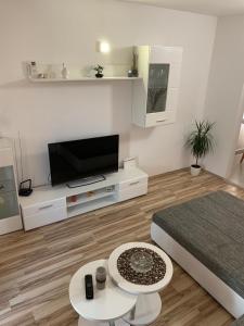een woonkamer met een bed en een televisie bij Apartment Jana in Klenovica