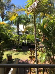 a view from the balcony of a resort with palm trees at Sanctuary Beach Resort in Gold Coast