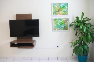 TV de pantalla plana en una pared con una planta en Buena Vida Apartments, en Rincón