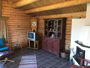 TV a/nebo společenská místnost v ubytování Fagerli Fjellgård