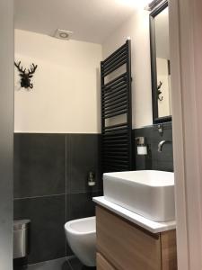 La salle de bains est pourvue d'un lavabo, de toilettes et d'un miroir. dans l'établissement Chalet Monaci alla Fontana "Junior suite", à Albosaggia