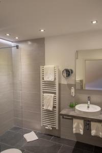 La salle de bains est pourvue d'un lavabo, de toilettes et d'une douche. dans l'établissement Gasthof Linden & Wildkräuterhotel, à Windelsbach