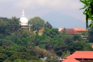 un temple au sommet d'une colline plantée d'arbres dans l'établissement J hostel kandy, à Kandy