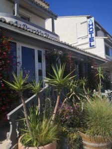 une maison avec des plantes en pot devant elle dans l'établissement Le Dauphin Bleu, à Saintes-Maries-de-la-Mer