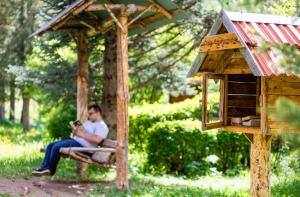 Hosté ubytování Park Resort Aghveran