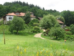 a house in a field with a dirt road at Torre Tanquián Eco Finca - Ribeira Sacra in Pantón