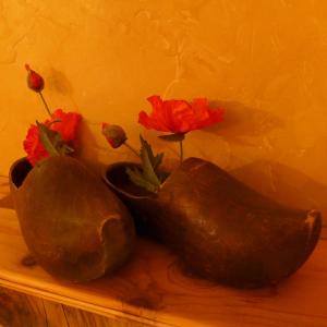 鲁西永Maison d'hôtes Une hirondelle en Provence的相册照片