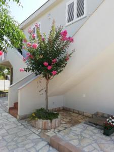 Zahrada ubytování Apartment Ivkica