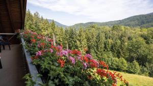 Afbeelding uit fotogalerij van Ferienhof Brutoni in Bad Peterstal-Griesbach