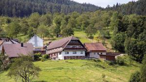 eine Gruppe von Häusern auf einem Hügel mit Bäumen in der Unterkunft Ferienhof Brutoni in Bad Peterstal-Griesbach