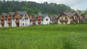 szereg domów na polu zielonej trawy w obiekcie Apartamenty Homole Apartament D5 w mieście Szczawnica +9 zdjęć