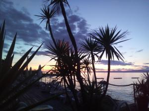 Sonnenuntergang am Strand mit Palmen im Vordergrund in der Unterkunft Apartments Serenity in Supetar