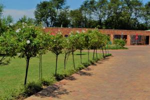 a row of trees in front of a building at The Lazy Grape Guest Lodge & Spa in Benoni