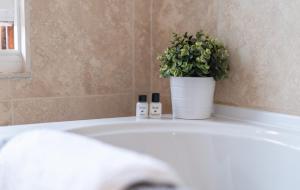 two bottles ofodorizers sitting on a bathroom sink with a plant at A Stay On The Brae in Edinburgh