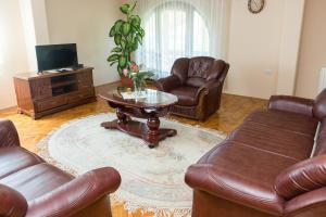 TV a/nebo společenská místnost v ubytování Apartman Solomonovic
