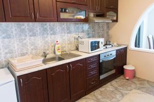 Kuchyň nebo kuchyňský kout v ubytování Apartman Solomonovic