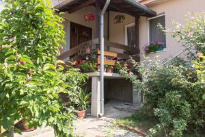 Zahrada ubytování Apartman Solomonovic