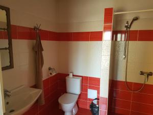 een badkamer met een toilet, een wastafel en een douche bij Penzion/Motorest Na Písku in Čáslav
