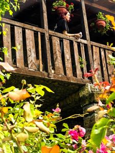 Jardí fora de Pivnice Radosavljević - Ljubina pivnica