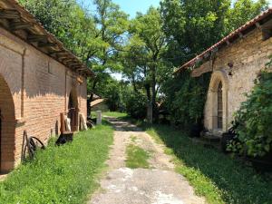 Jardí fora de Pivnice Radosavljević - Ljubina pivnica