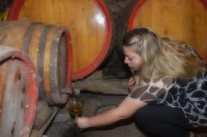 Begudes a Pivnice Radosavljević - Ljubina pivnica
