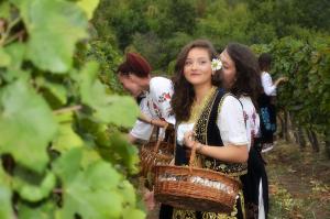 Clients de Pivnice Radosavljević - Ljubina pivnica