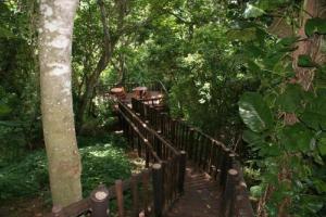 a wooden path through a forest with a wooden fence at Ndiza Lodge and Cabanas in St Lucia
