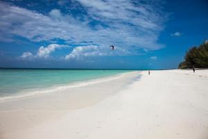 a person is flying a kite on a beach at Geo Zanzibar Resort in Jambiani