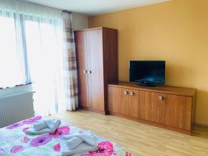 TV a/nebo společenská místnost v ubytování Vila Janka