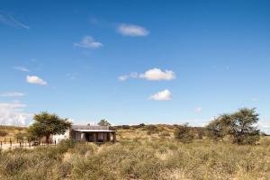 una casa en medio de un campo en Kalahari Cottage, en Askham