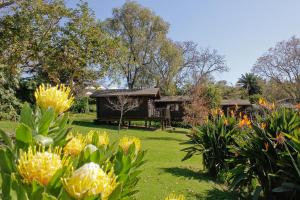a garden with a house in the background with flowers at Eight Bells Mountain Inn in Ruiterbos