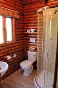 a bathroom with a toilet and a shower in a log cabin at Eight Bells Mountain Inn in Ruiterbos