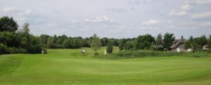a man standing on a green golf course at RCN Vakantiepark de Roggeberg in Appelscha +28 photos