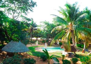 a resort with a swimming pool and a palm tree at Reva Castel in Nosy Be